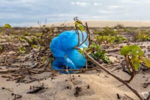 Windsurfers Doing A Beach Clean Up - 3 - Windsurf